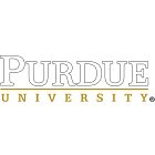 PURDUE UNIVERSITY - WEST LAFAYETTE logo for Bachelor of Arts in Economics (Honors) in United States — study abroad with Border & Bridges PURDUE UNIVERSITY - WEST LAFAYETTE logo for Bachelor of Arts in Economics (Honors) in United States — study abroad with Border & Bridges